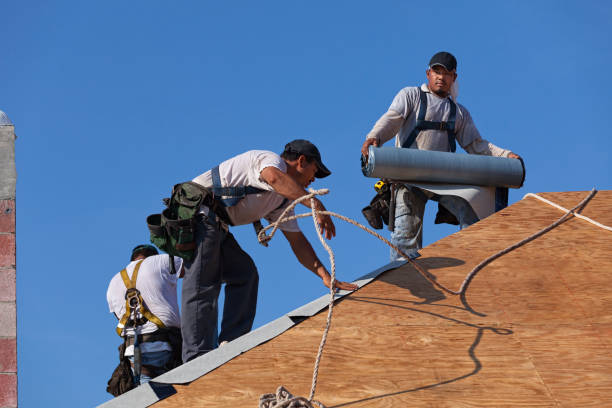 Quick and Trustworthy Emergency Roof Repair Services in Lady Lake, FL