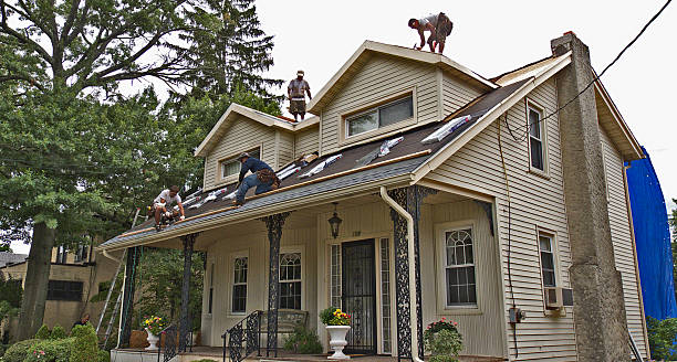 Roof Gutter Cleaning in Lady Lake, FL
